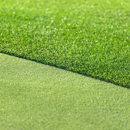 All Seasons Evergreen Grass Seeds