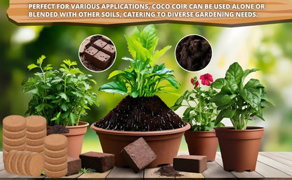 Organic Coconut Coir for Plant Growth