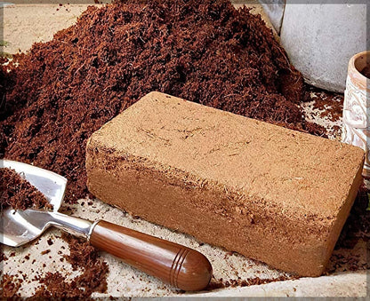 Organic Coconut Coir for Plant Growth